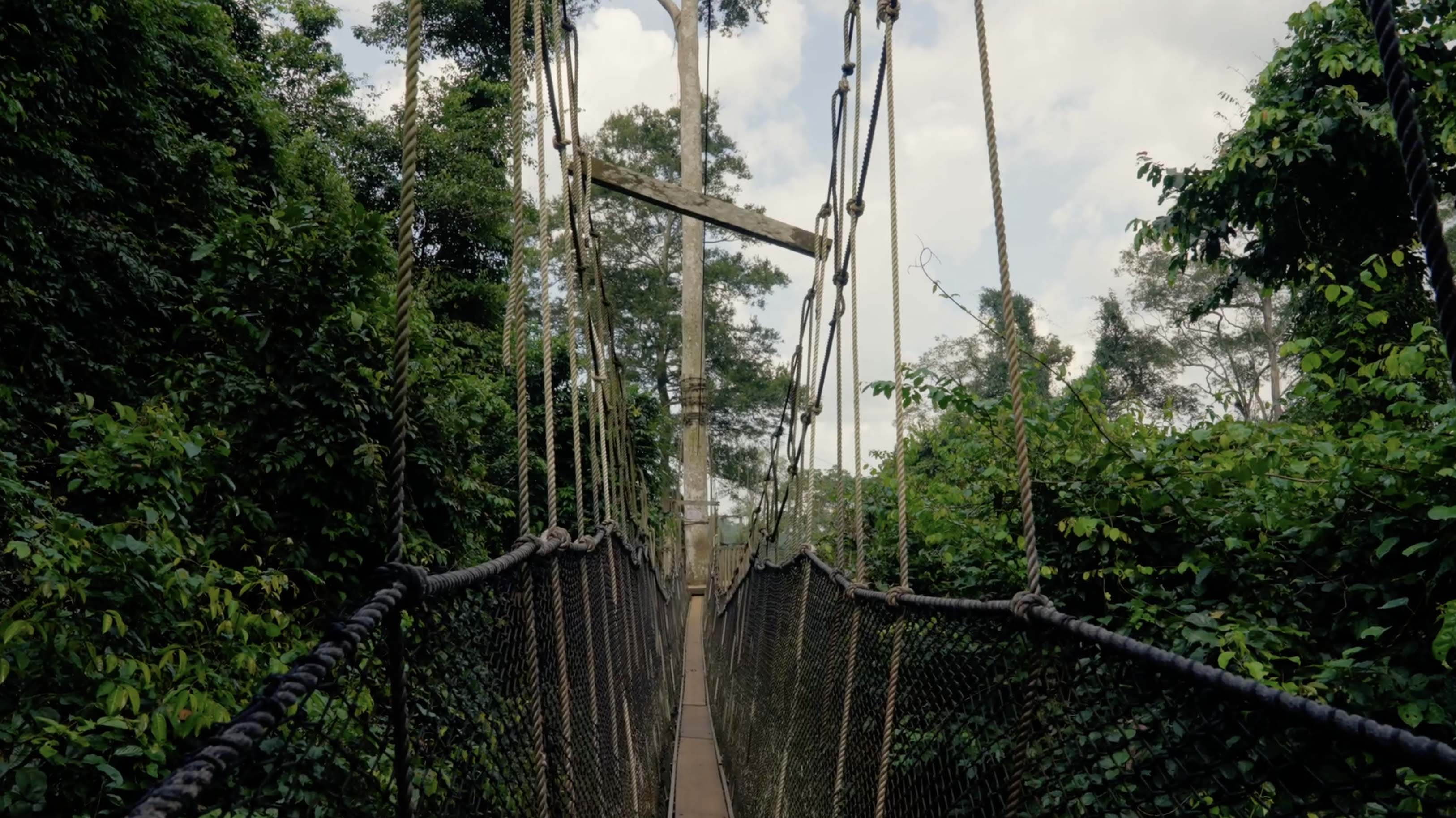 Kakum National Park