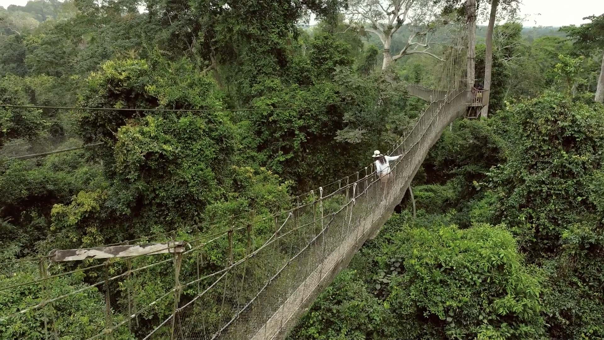 Kakum Nation Park